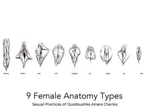 Image of vagina anatomy types used with kind permission from Amara Charles.